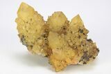 Sunshine Cactus Quartz Crystal Cluster - South Africa #212634-1